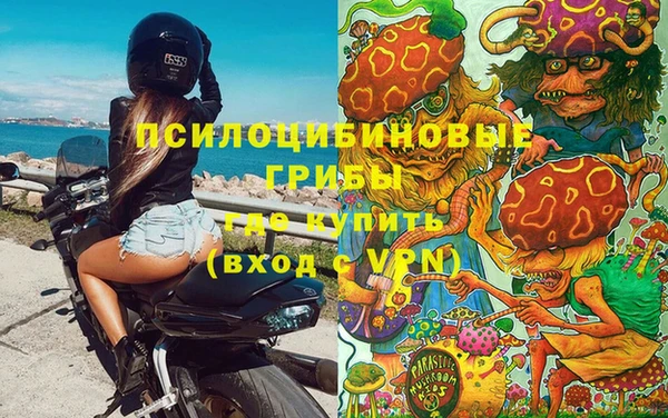 mix Зеленокумск